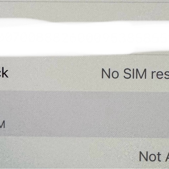 iPhone 13 Pro Max 1 TB carrier unlocked VERY good condition! - Picture 4 of 15